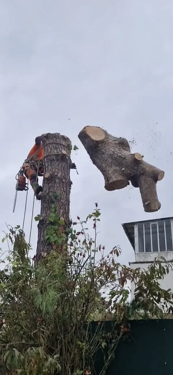 Démontage contrôlé